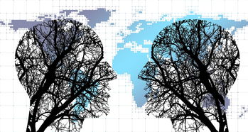 米兰体育官方下载-体育新闻中心协同多方建立体育内容风控机制，体育新闻机构